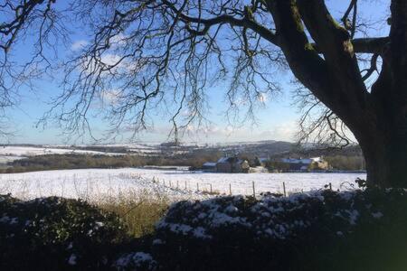 Riber Hall Manor Bed & Breakfast