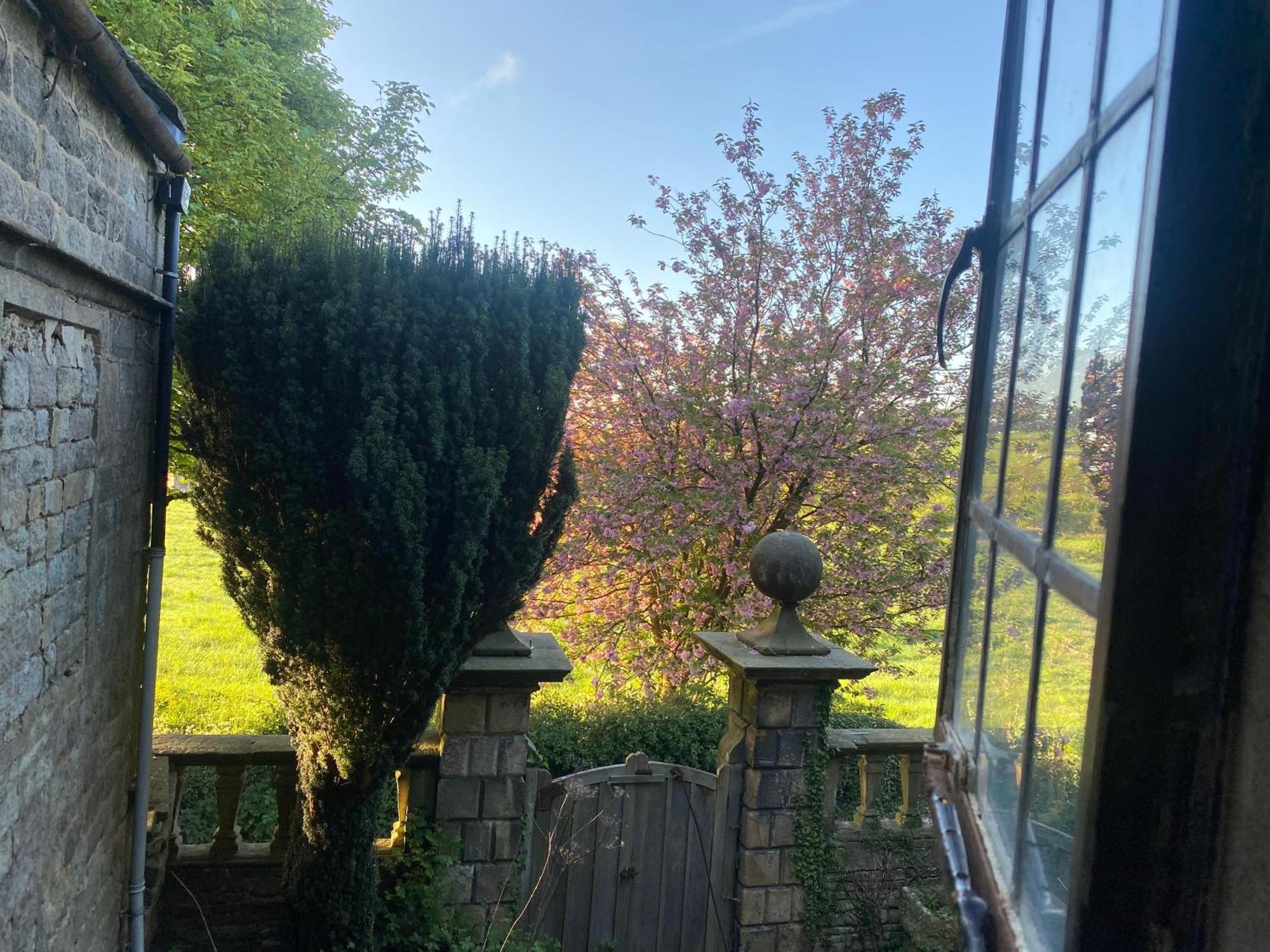 Bed & Breakfast Riber Hall Manor